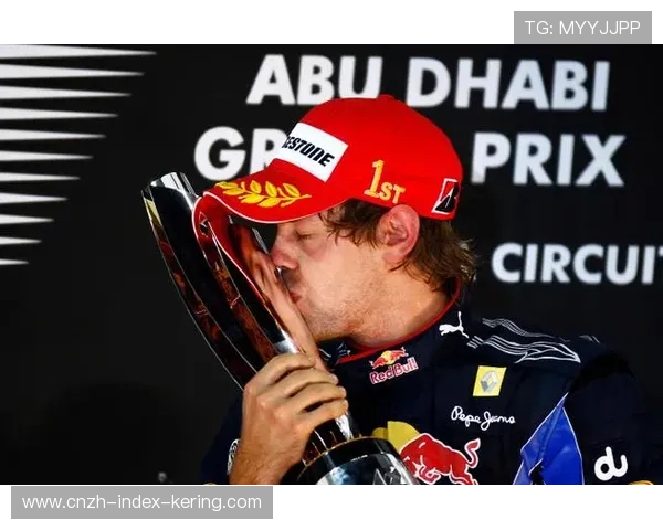 F1巴西大奖赛：塞巴斯蒂安·维特尔宣布退役，感动全场