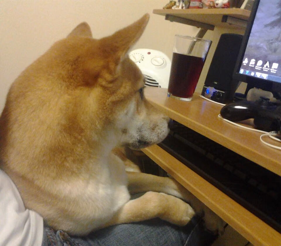 运动装备技术应用推广,运动装备的作用